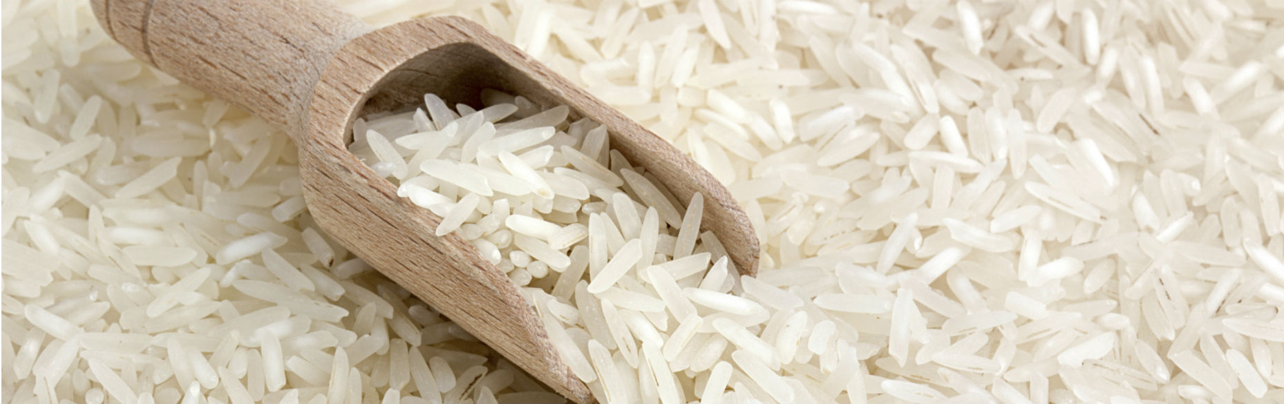 Rice image